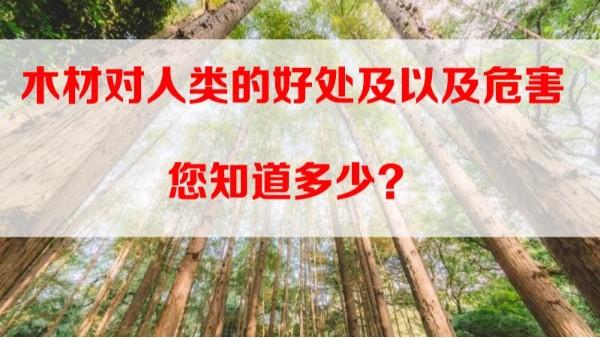 深圳裝修公司之木材對(duì)人類(lèi)的好處以及危害您知道多少？